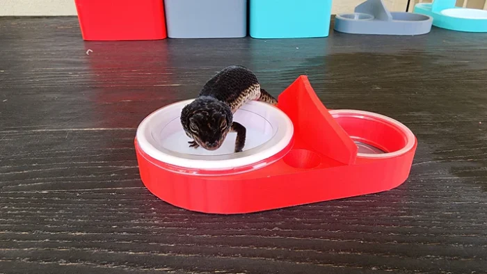 Strawberry Red Leopard Gecko food bowl calcium dish & water dish